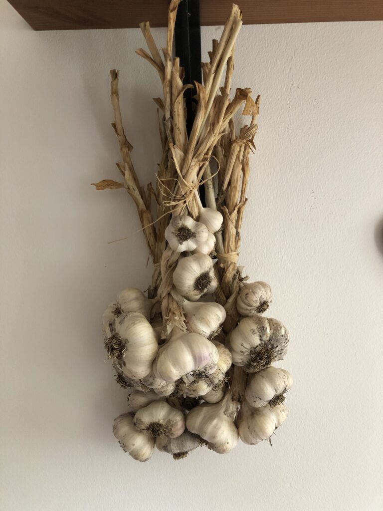 A csípős növényi hatóanyagok gyógyhatása csípős2