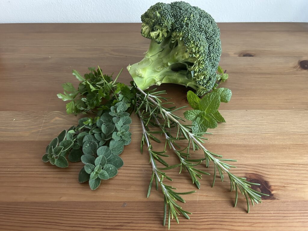 zöld növények zöld növények