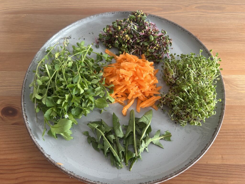 Csíra saláta hozzávalók