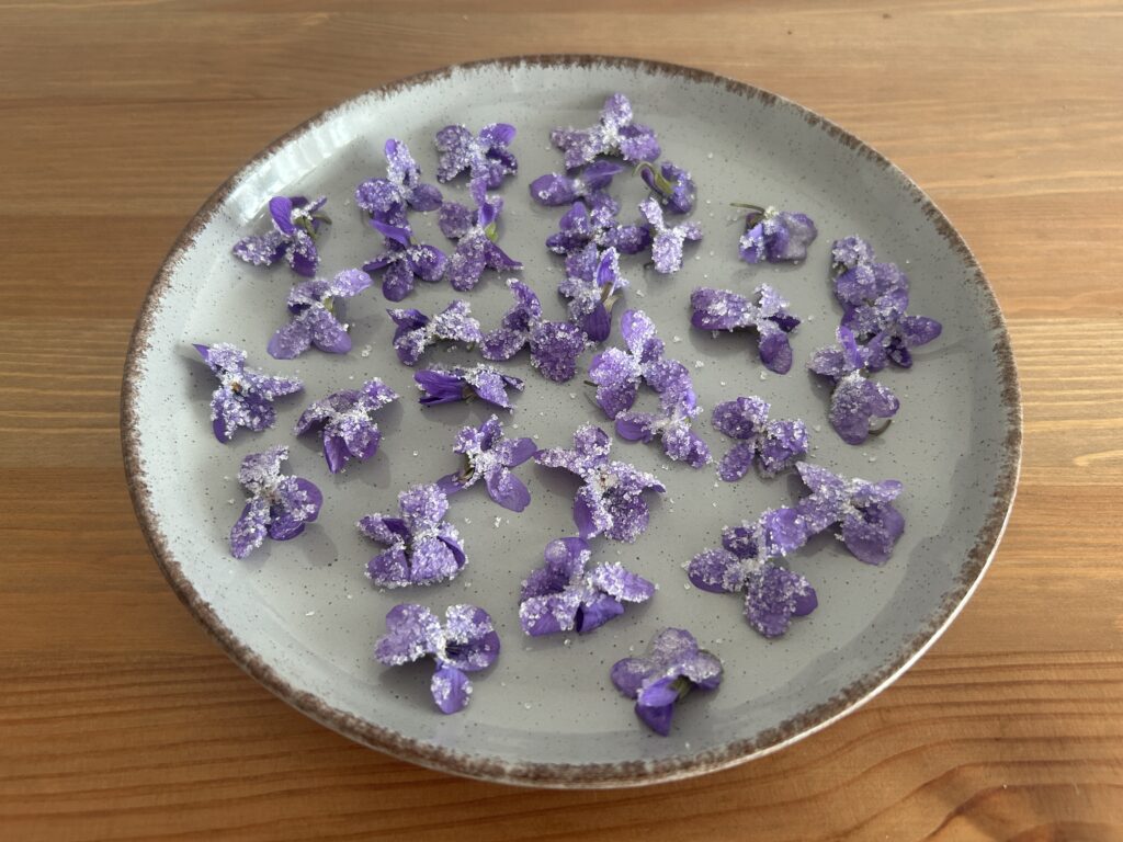 Kandírozott ibolyavirág