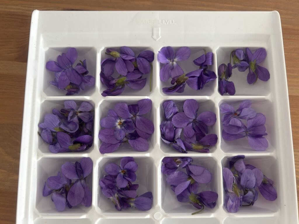 Jégkocka készítés